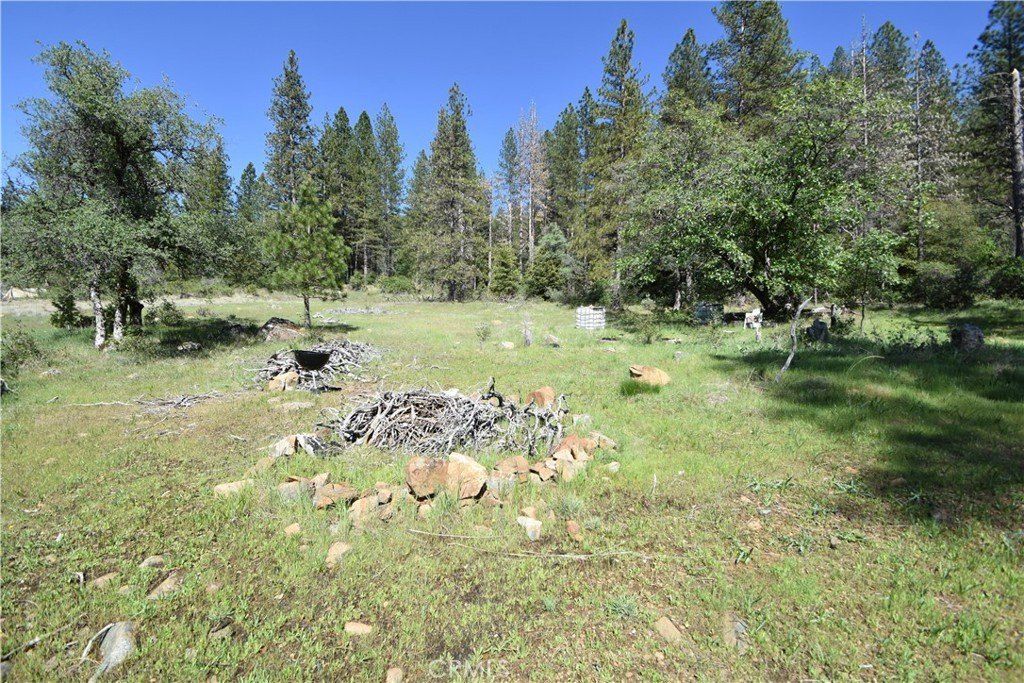 Picture 20