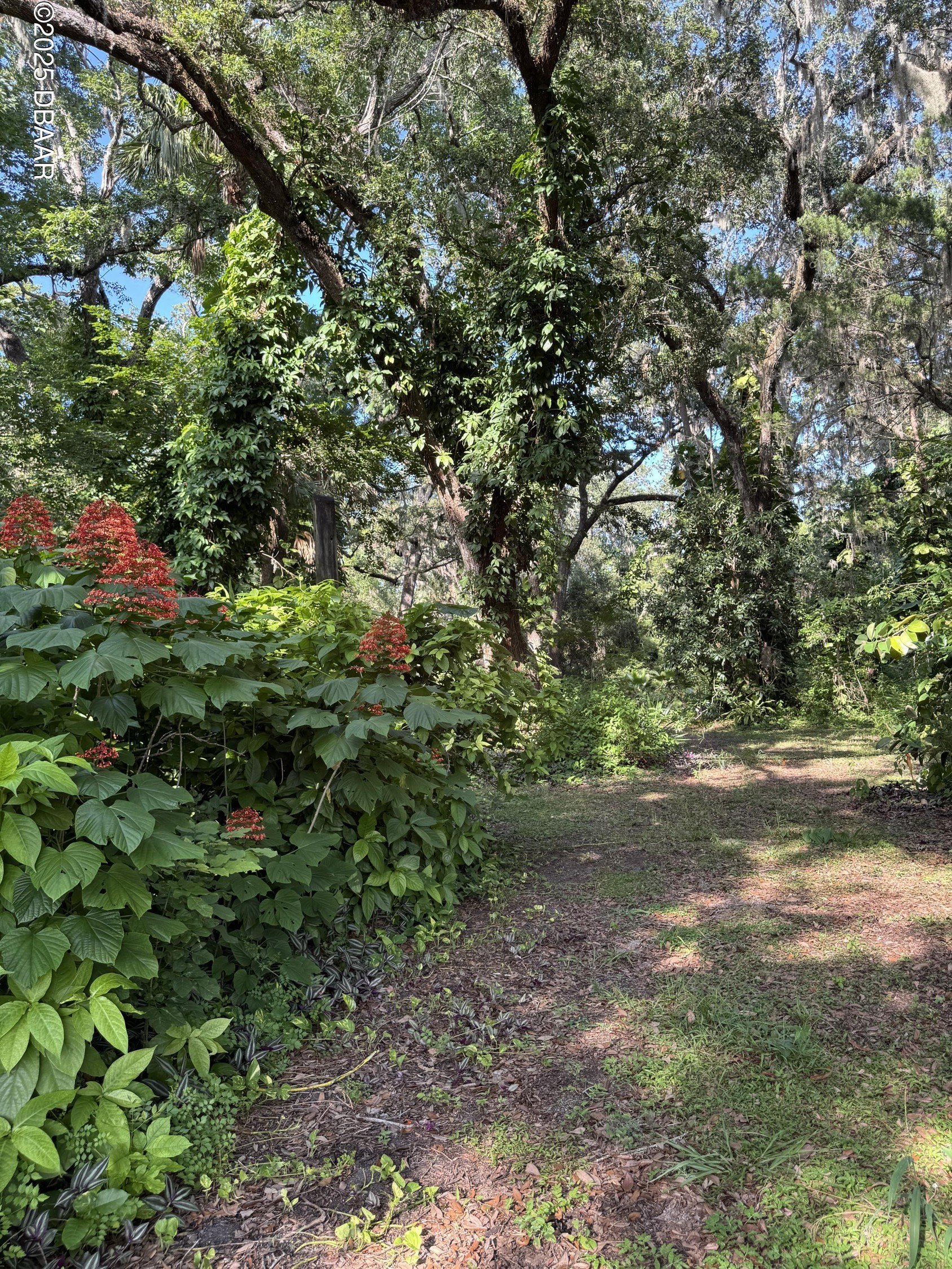 Residential Land in Port Orange