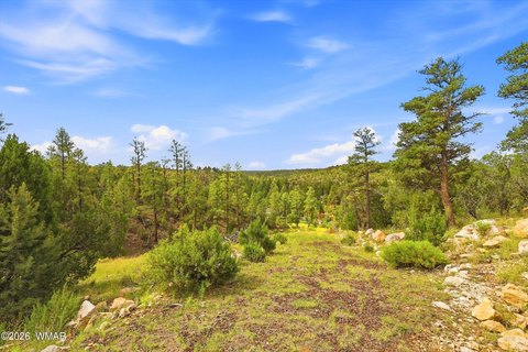 Land, Heber, AZ