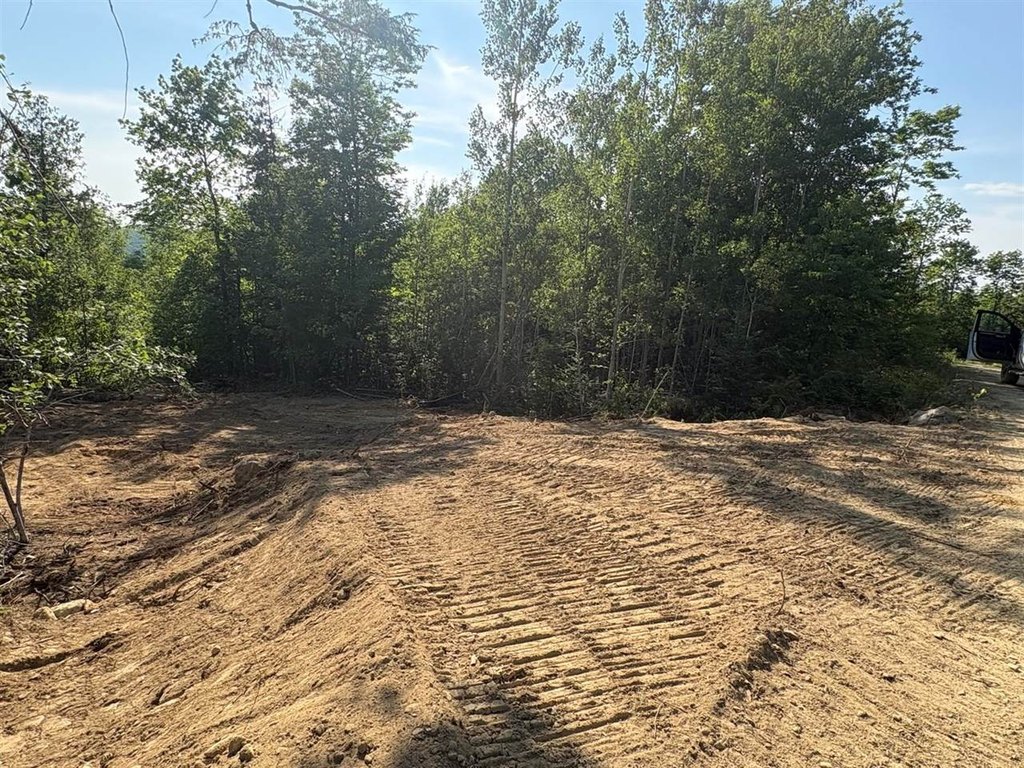 Picture 6
