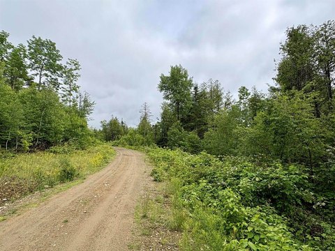 Surveyed Residential Development Lot