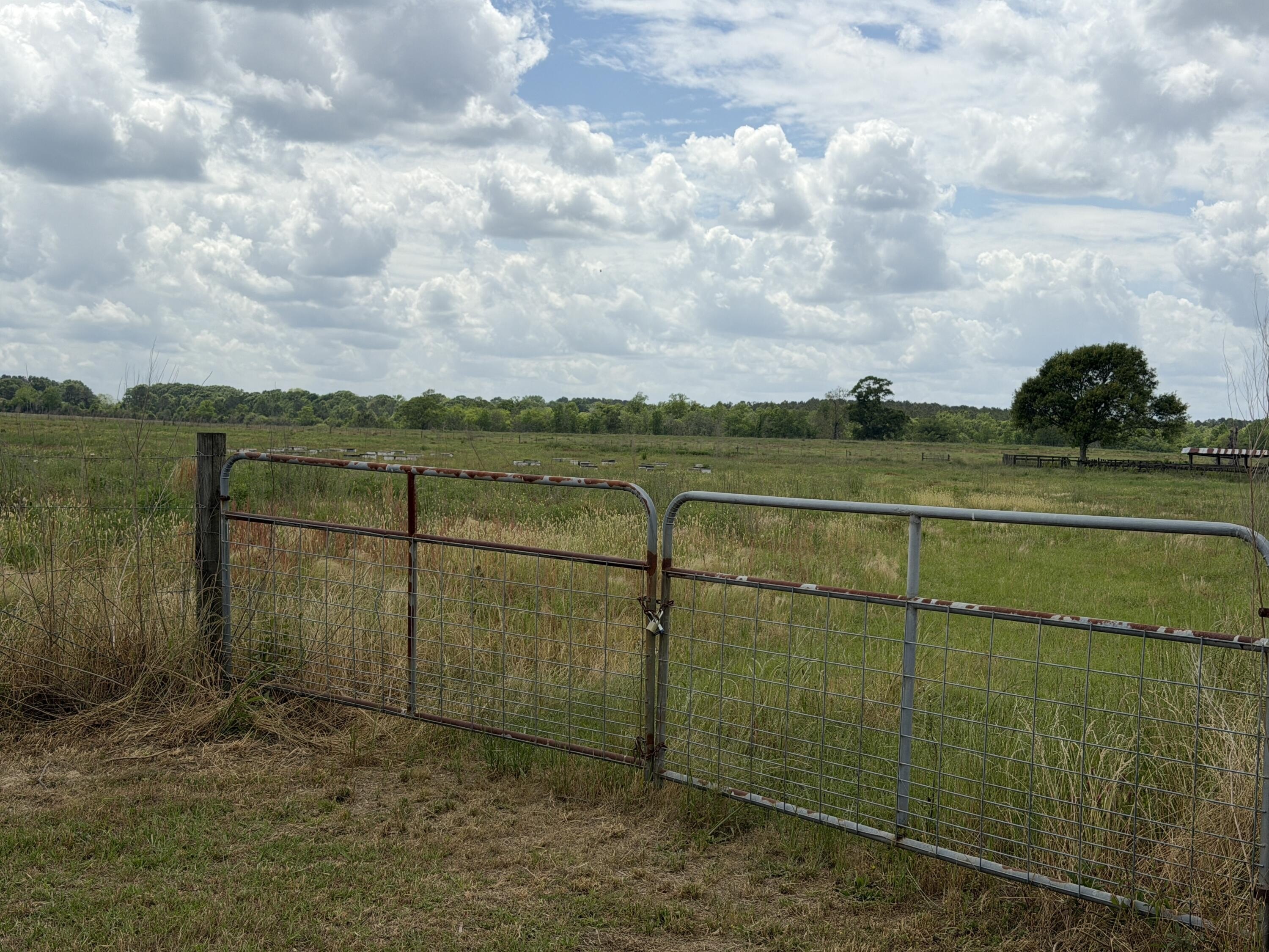 Lumberton Pastureland Homestead Opportunity