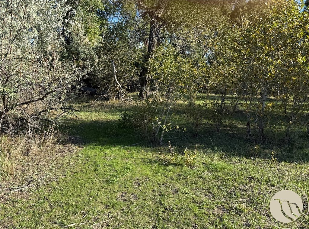 Picture 9