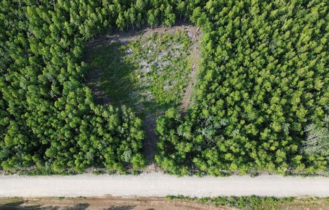 Cleared Land Near Delta Junction