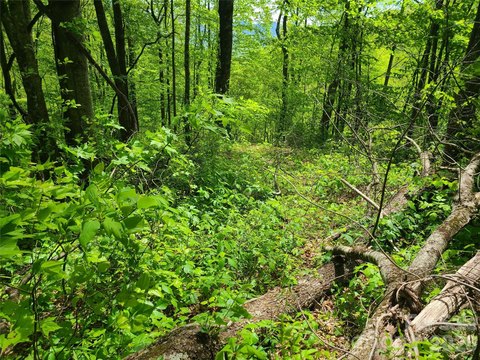 Maggie Valley Land For Sale