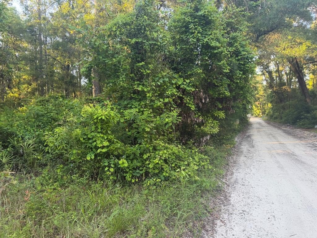 Vacant Lot Near Suwannee River