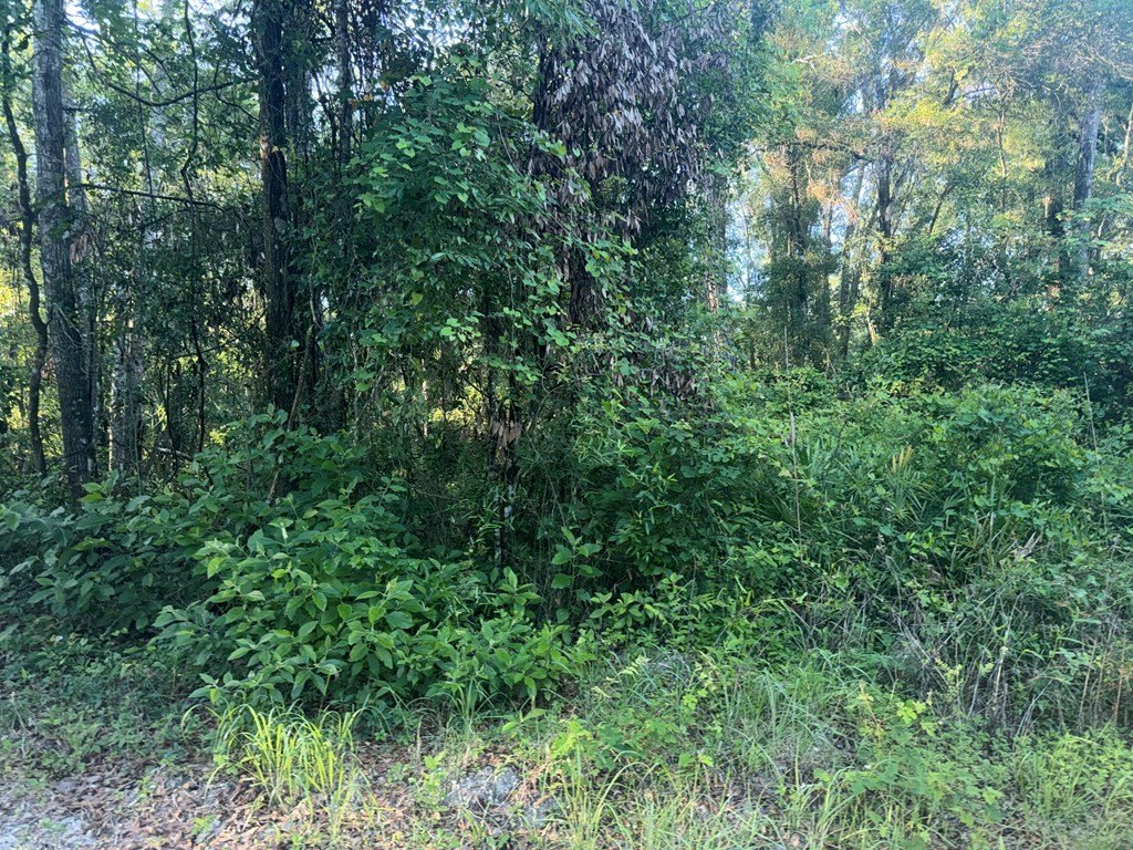 Picture 3