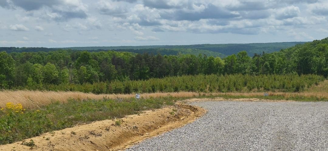 Dunlap, TN Land For Sale