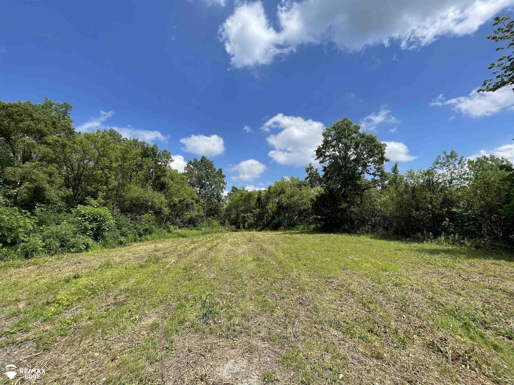 Picture 25