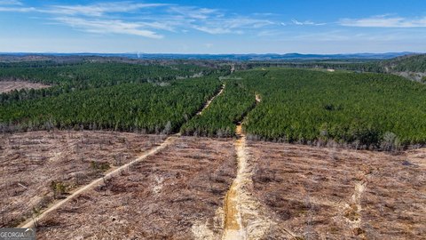 Timberland Tract with Double Road Access