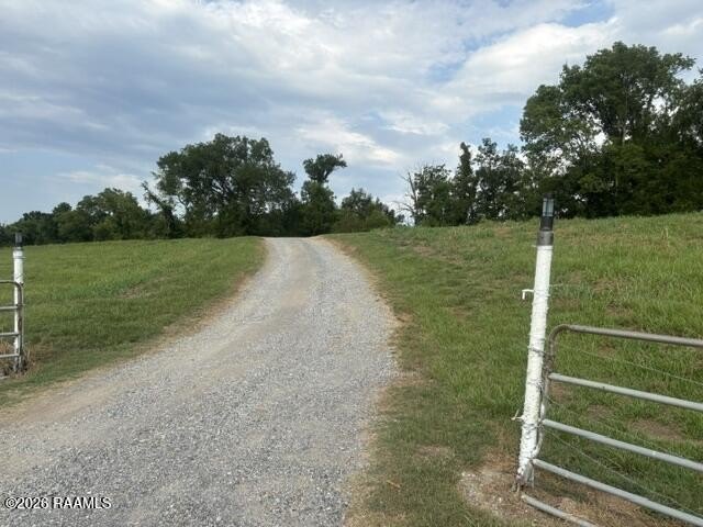Picture 14