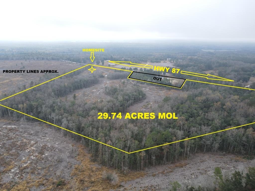 Unrestricted Land - Samson, AL