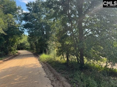 LOTS AND ACREAGE, Wagener, SC