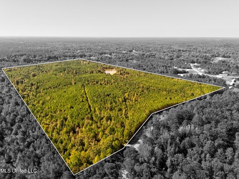 97 Acres in Batesville, MS