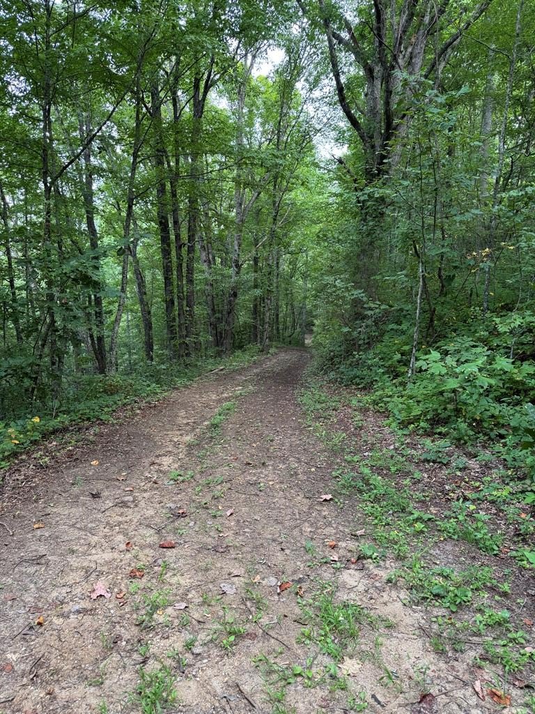 9.51 Acres in Bryson City
