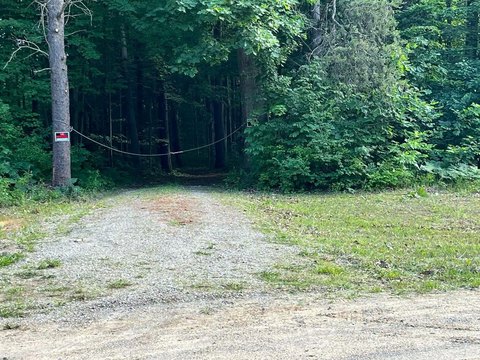 Vassar Land with Hunting Potential