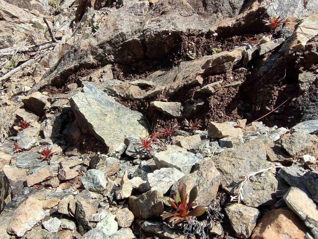 Picture 24