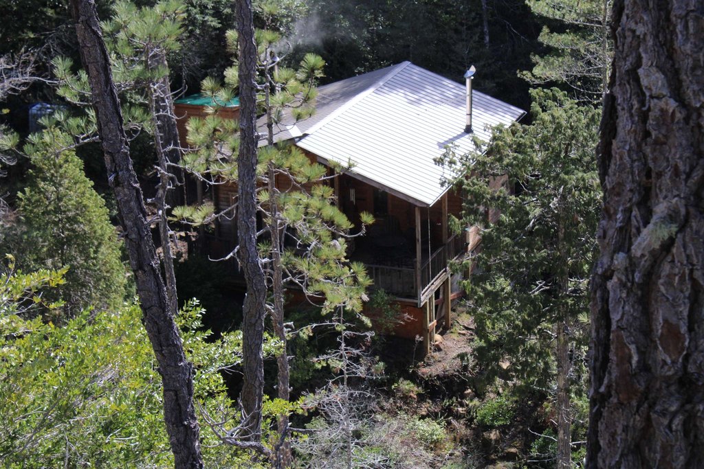 Picture 5