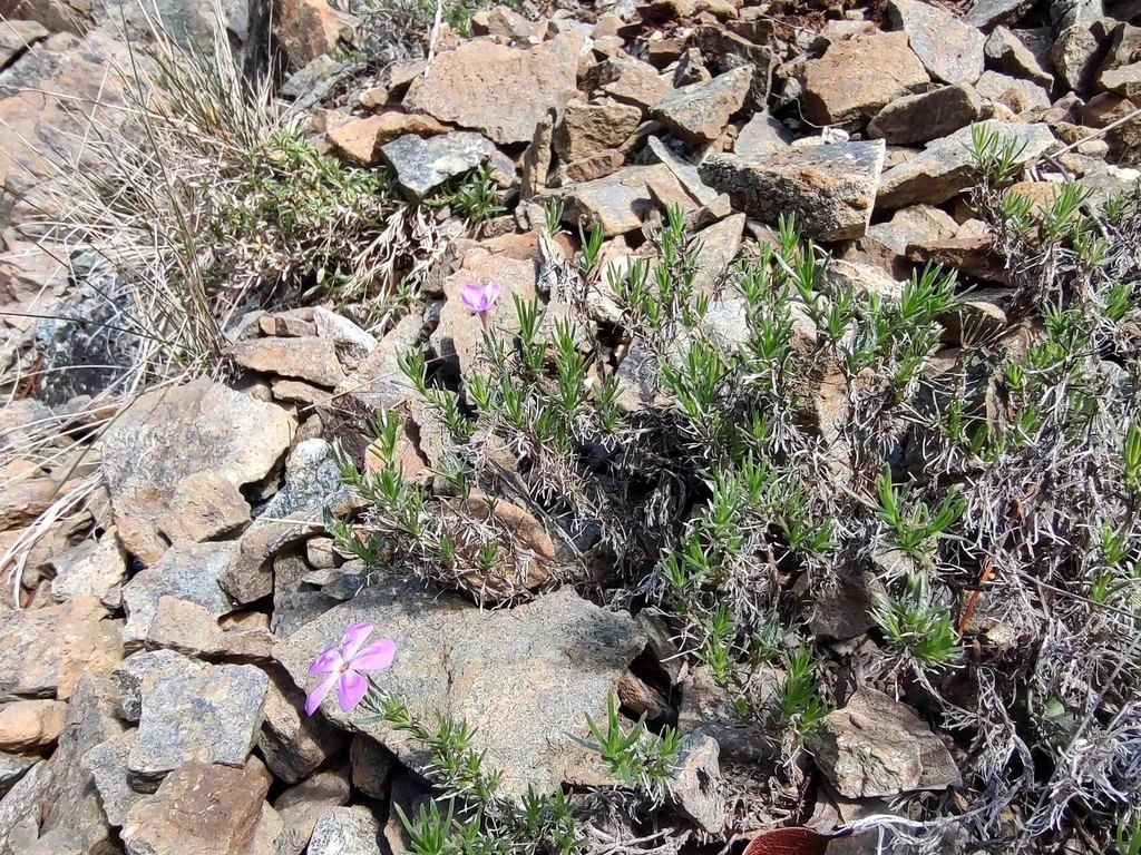 Picture 26
