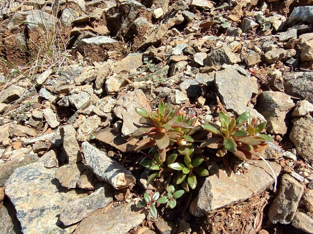 Picture 25