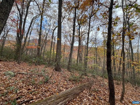 LAND, NELLYSFORD, VA