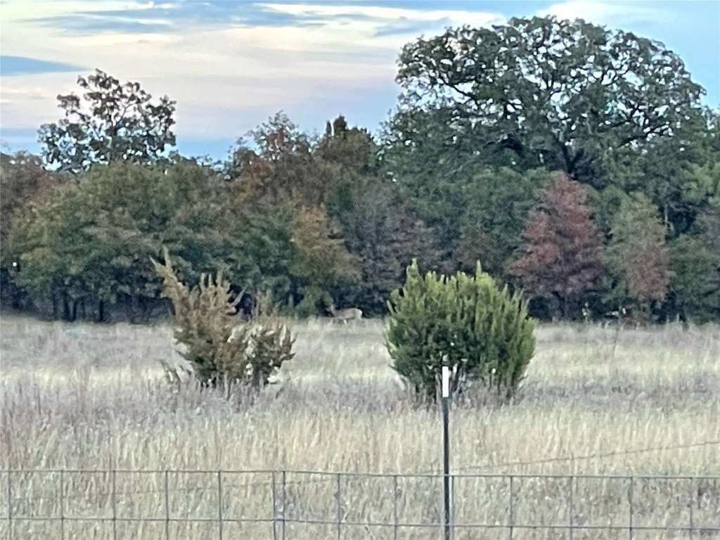 Picture 26