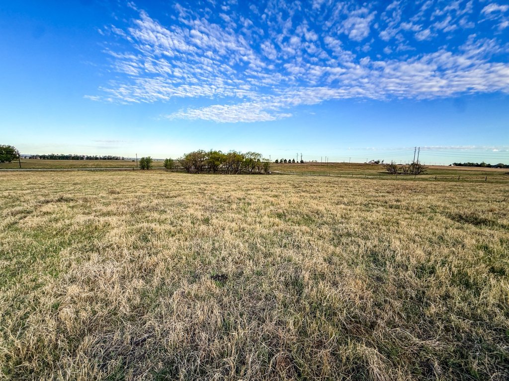 Picture 20