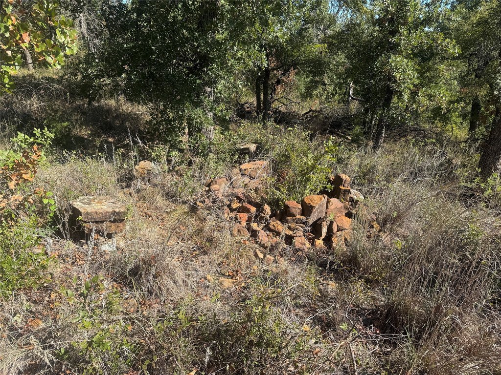 Picture 31