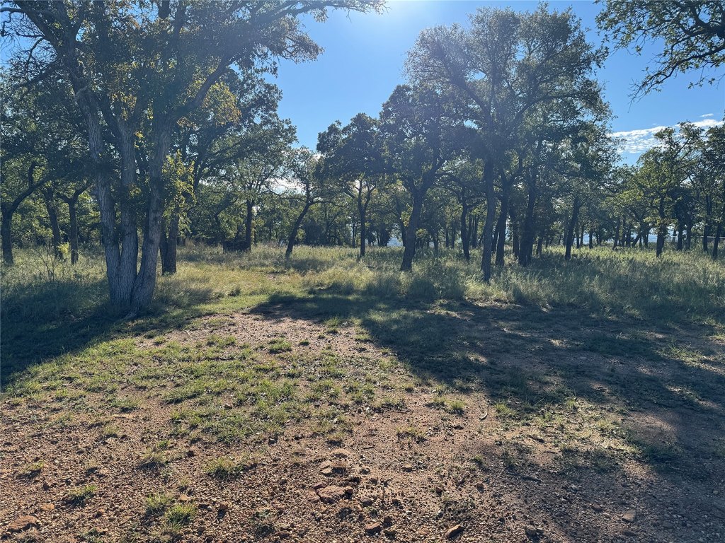 Picture 19
