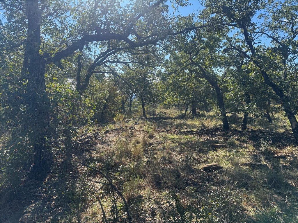 Picture 33
