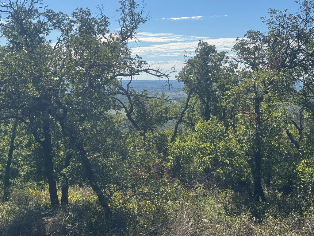 Picture 29
