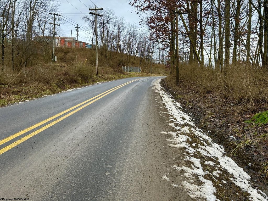 Picture 5