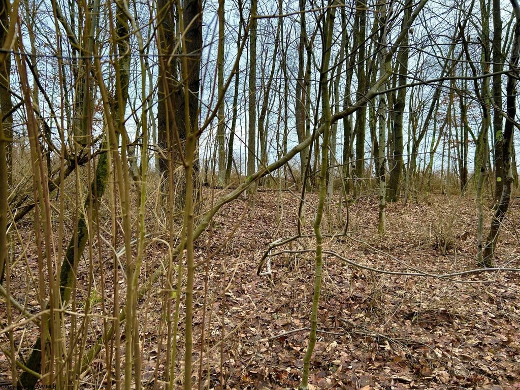 Picture 3