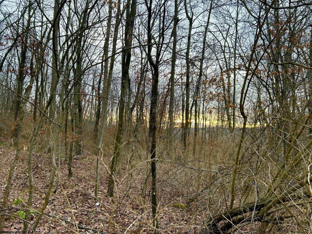 Picture 4