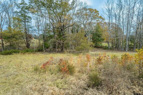 Ranchette-Style Land in Subdivision