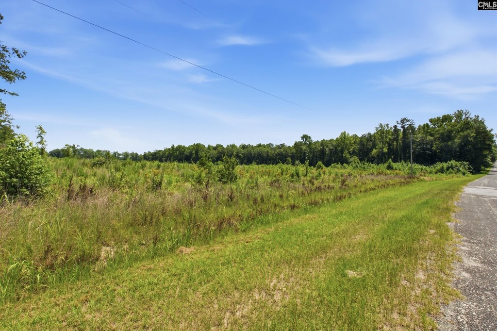 Picture 7