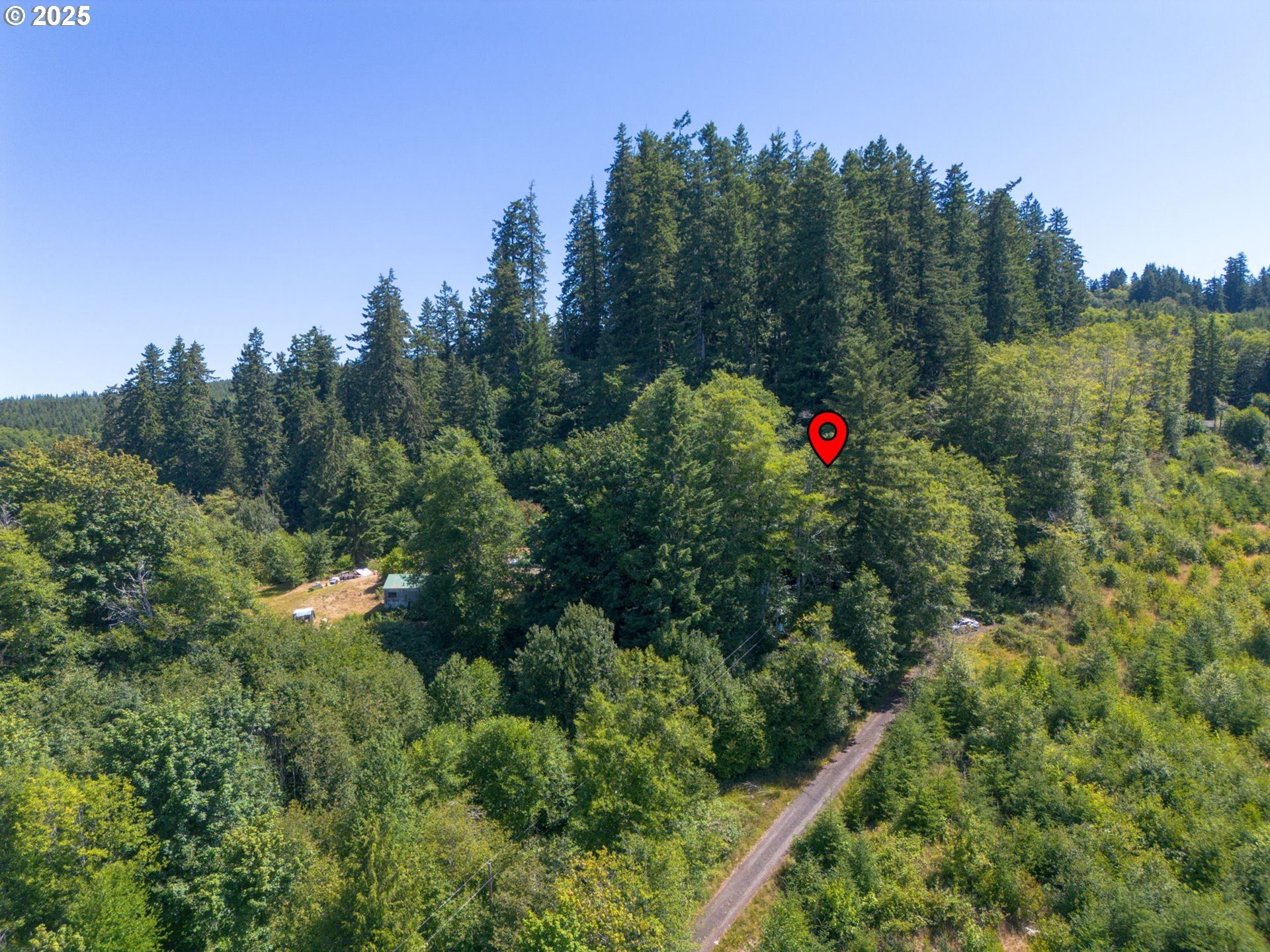 Forested Buildable Lot in Seaside