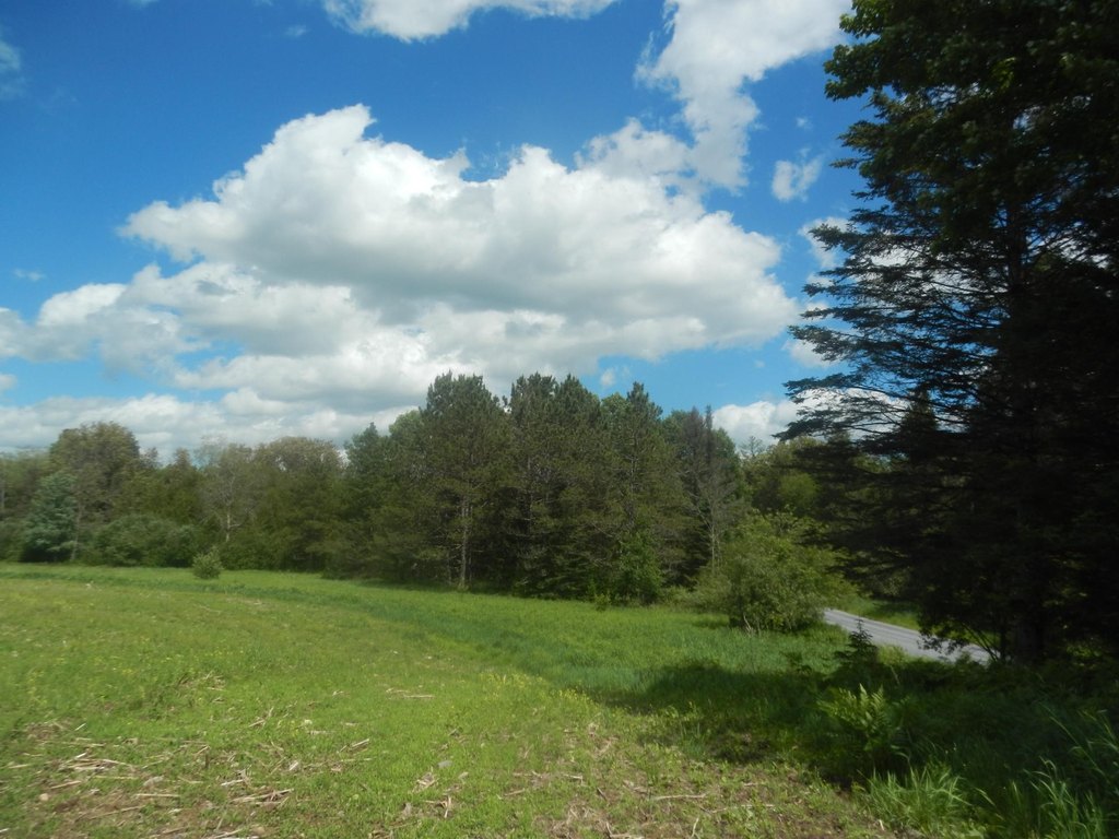 Picture 3