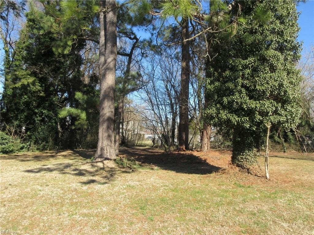 Picture 3