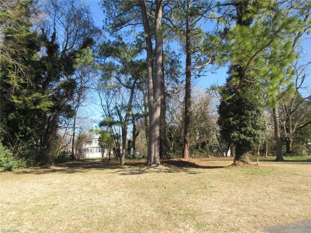 Picture 2