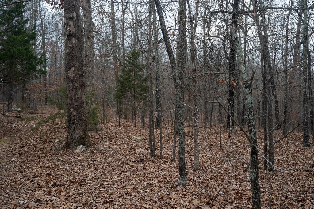 Picture 36