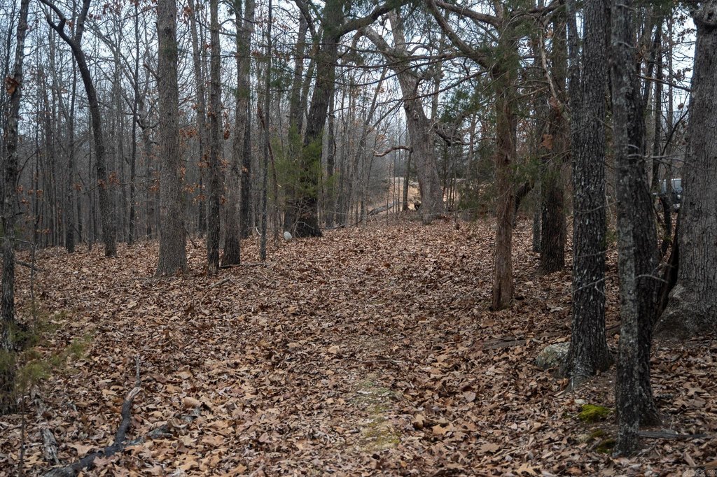 Picture 41