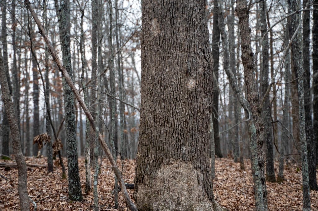 Picture 38