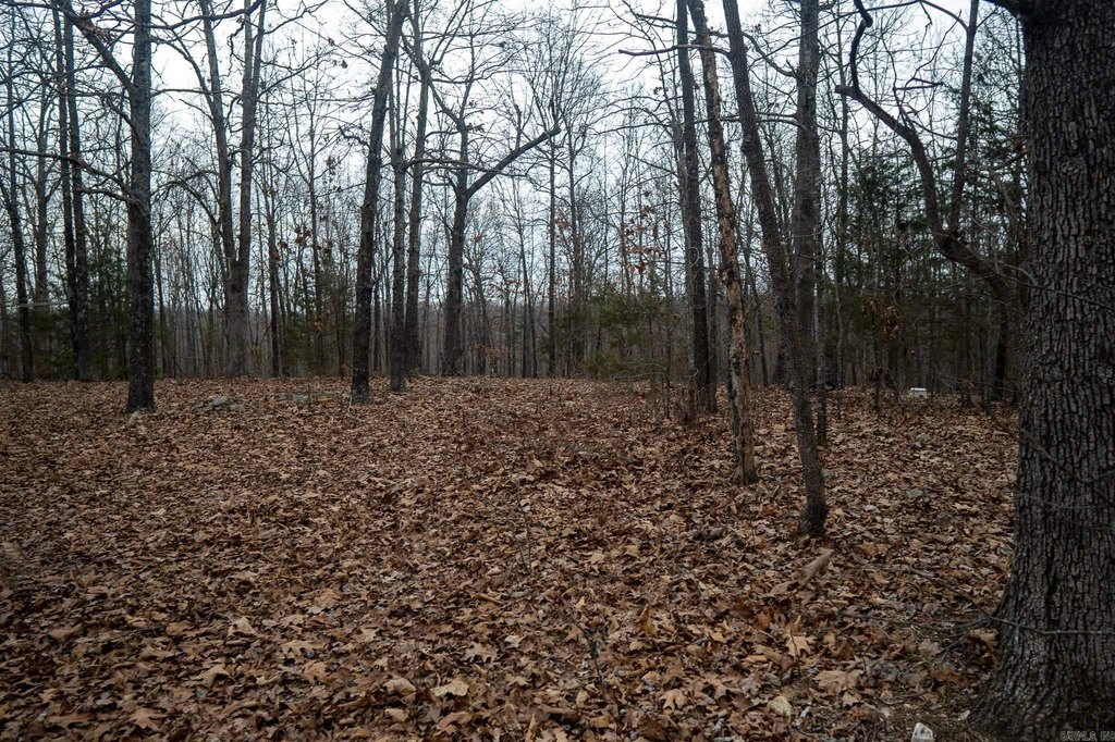 Picture 10