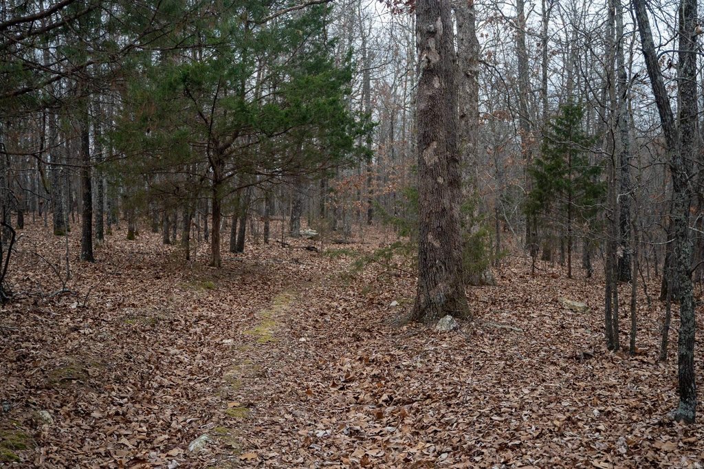 Picture 37