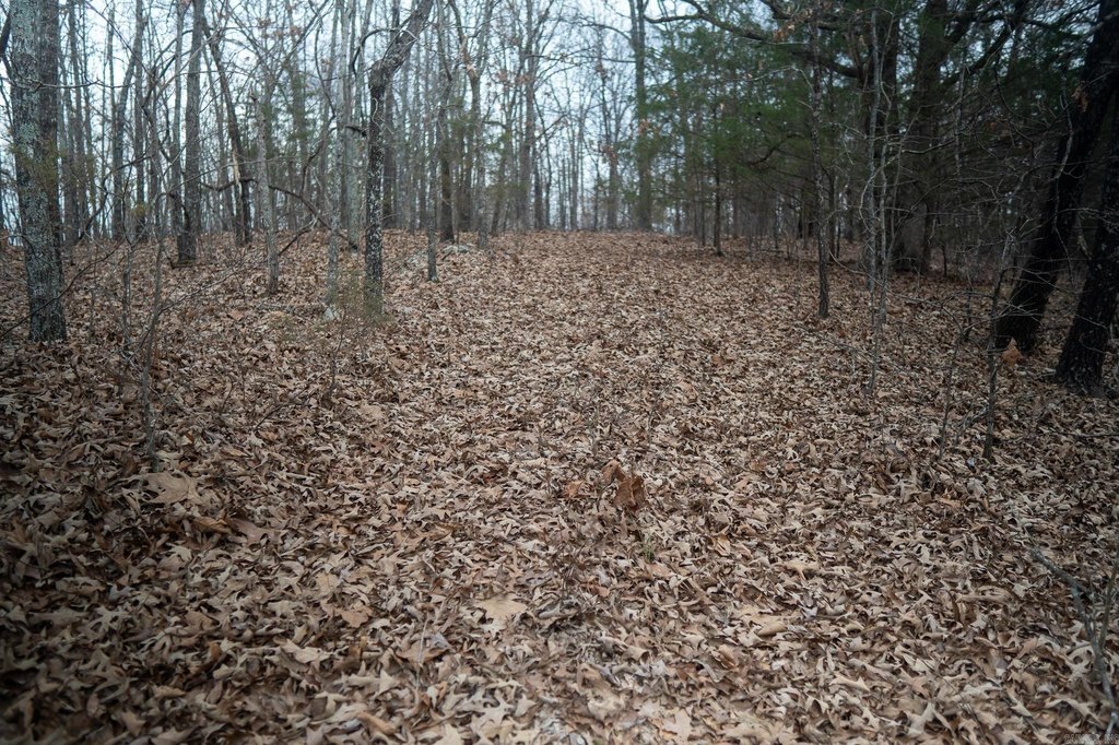 Picture 30