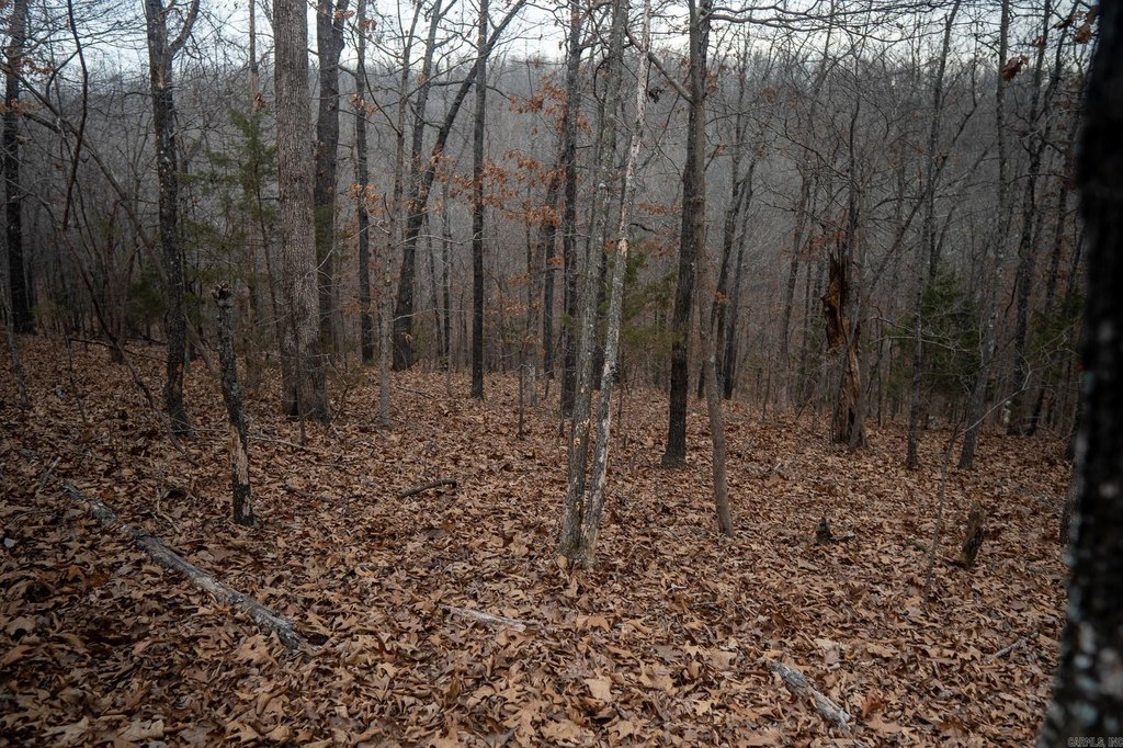 Picture 8