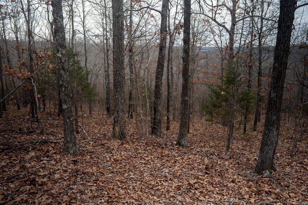 Picture 39