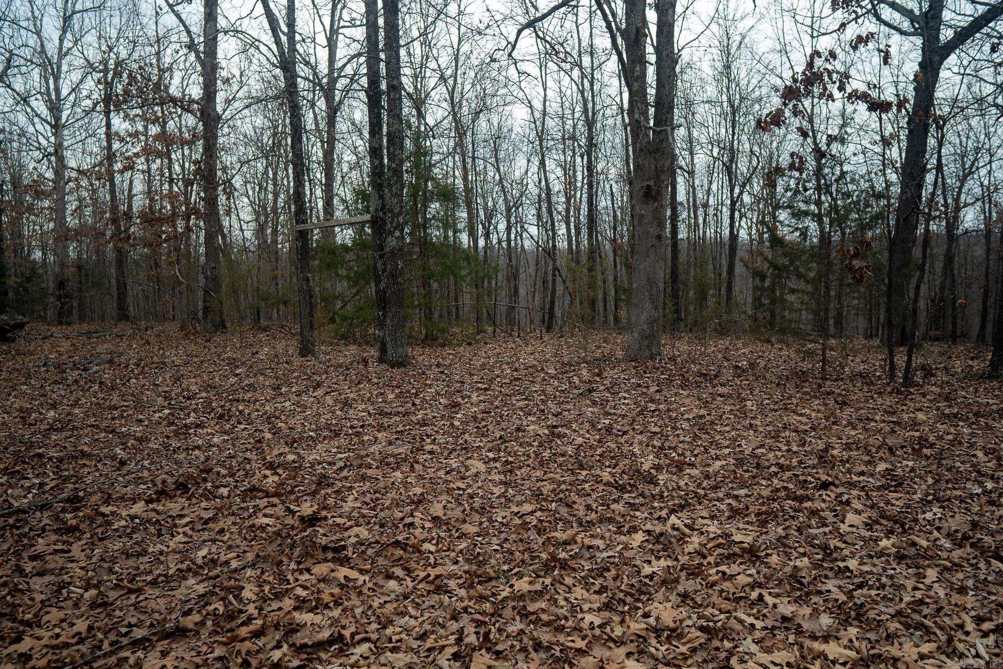 Secluded Hunting Land in Ravenden