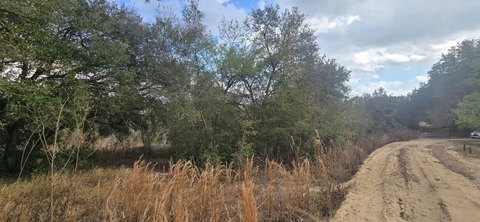Residential Land in Umatilla, FL